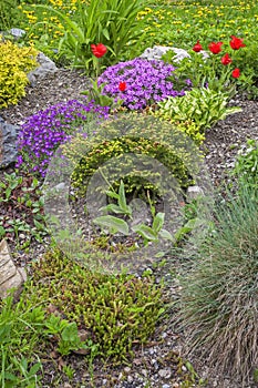 Garden in Stary Smokovec at May. Slovakia