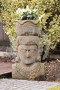 Garden Statue, Balinese Divinity with Christmas Rose Plants on Head in Winter