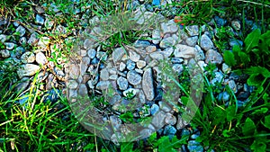 Garden stone bads invaded with grass and leaves photo