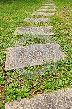 Garden stone path