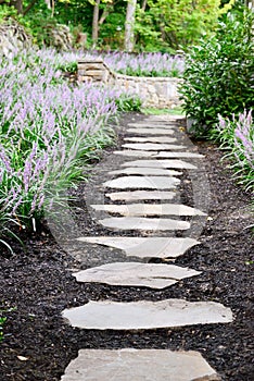 Garden Stone Path and Liriope