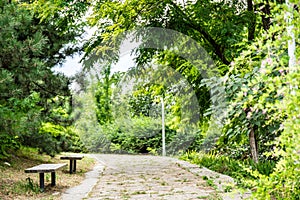 Garden stone path in park