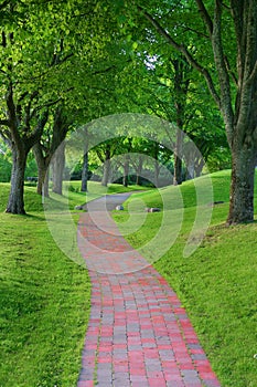 Garden stone path in park