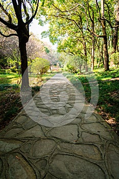 Garden stone path in park