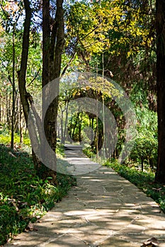 Garden stone path in park