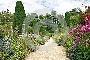 Garden stone pathway, summer flowers in bloom, conifers, shrubs, tall trees