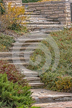 Garden with stone stairs through mixed greenery