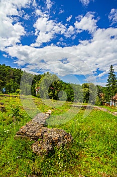 Garden with stones, green grass, bushes and trees.