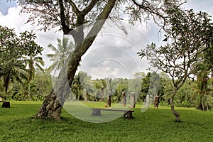 Garden of stones and tranquility. Place of relaxation in the jungle. Stone bench Palm trees and lawn with grass. Vertically stand