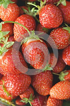 Garden strawberries close-up