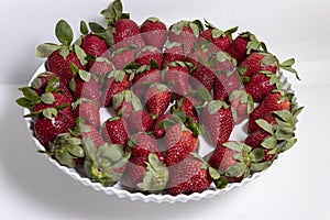 garden strawberry is a widely grown hybrid species of the genus Fragaria, collectively known as the strawberries