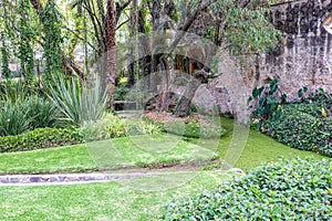 Garden with a stream covered with algae bloom, narrow irrigation canal for runoff water between green grass