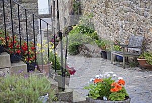 Garden streets of Falkland - historic tourist destination in Fife, Scotland