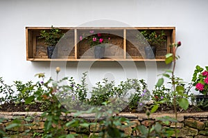 Garden style with wooden shelves