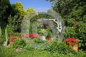 Garden in Summer