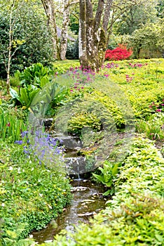 Garden in summer with water cascade