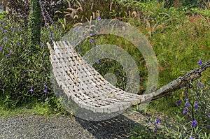 Garden swing rest chair grass hot sunshine entry concept