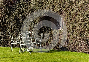 Garden table and chairs on lawn