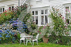 Garden with table and chairs near traditional Norwegian white wooden house, Norway
