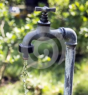 Garden tap