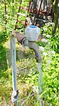 Garden tap