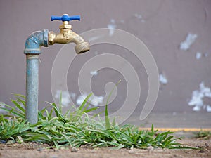 Garden tap saving water. Faucet concept