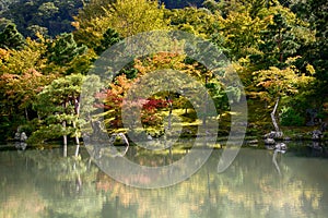 Garden of the Tenryu Buddhist Temple, Kyoto, Japan