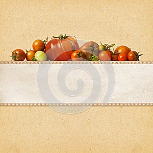 Garden tomatoes background photo