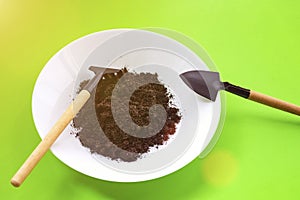 Garden tool shovel, scoop, iron rake with wooden handles, white plate with soil on a green background. Top view. Zero waste