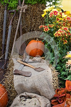 Garden tools and axes in a thanksgiving display