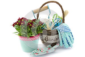 Garden tools in a basket and chrysanths