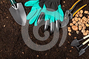 Garden tools and fertile soil.