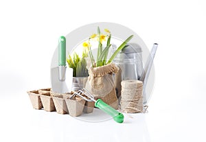 Garden tools, flowers and soil