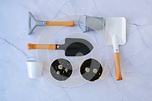 Garden tools. Gardening tools on concrete background flat lay. Plant flowers for garden. Tools spade, fork, hand