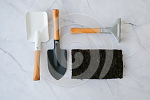 Garden tools. Gardening tools on concrete background flat lay. Plant flowers for garden. Tools spade, fork, hand