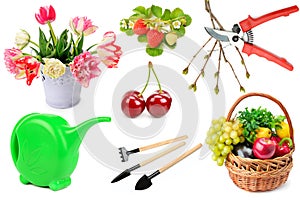 Garden tools for growing flowers, berries, fruits and vegetables isolated on white . Collage