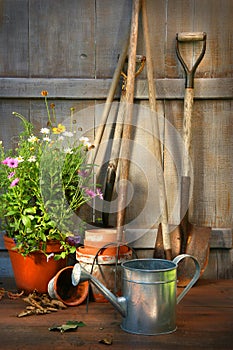 Garden tools and a pot of summer flowers in shed