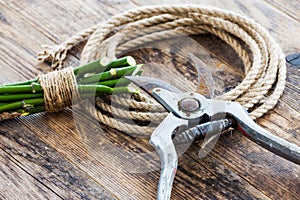 Garden tools and rope on the wooden table.