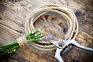 Garden tools and rope on the wooden table.