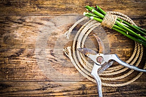 Garden tools and rope on the wooden table.