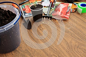 Garden tools, sachets of vegetable seeds, bucket of soil and sprout in container are on table. Copy space.