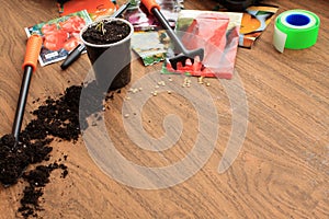 Garden tools, sachets of vegetable seeds, scattered soil and small sprout in container are on table. Copy space.