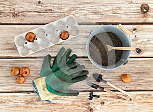 Garden tools with soil and bow on a wooden table.