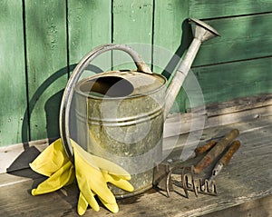 Garden tools on wooden working surface