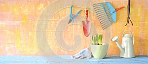 Garden tools, young plant