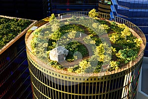 a garden on top of a skyscraper