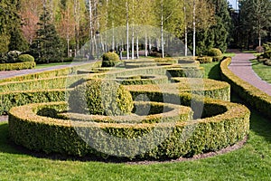 Garden with topiary landscape. Landscaping in the park