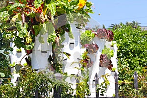 Garden Tower Sustainable Living