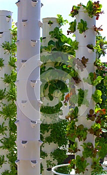 Garden Tower Sustainable Living