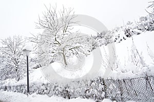 Garden with trees enclosed by a wire fence and covered with snow during the winter season.